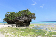 PEMBA-ISLAND