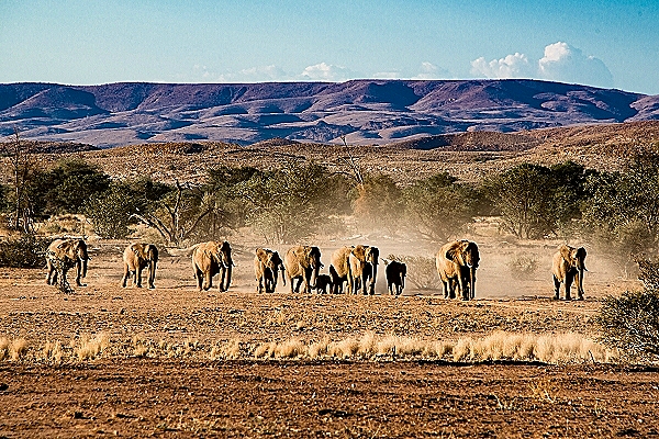 OnTour Gabun 