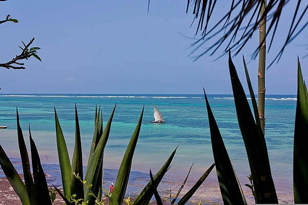 OnTour Malindi (Kenia)