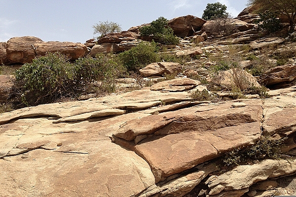 OnTour Somaliland 